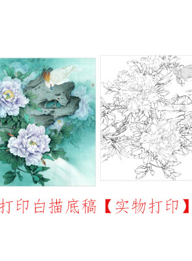 工笔画打印白描底稿斗方牡丹