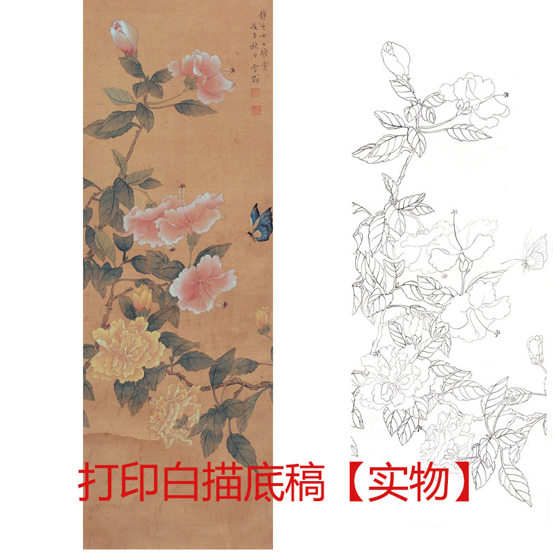 工笔画底稿新款竖幅芙蓉白描线稿初学者钩线练习宣纸过稿diy