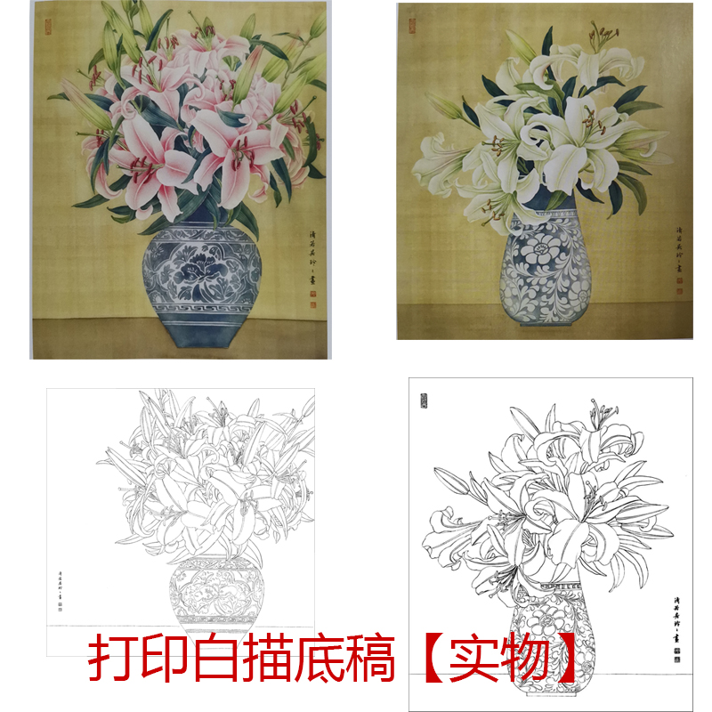 郑玲玲花瓶百合初学者练习工笔画