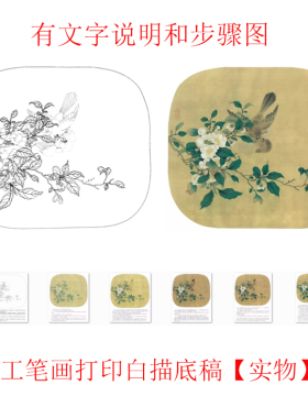 工笔画打印白描底稿花鸟宋画临摹