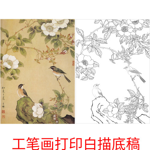 工笔画打印白描底稿花鸟高清线稿初学者临摹参考创作