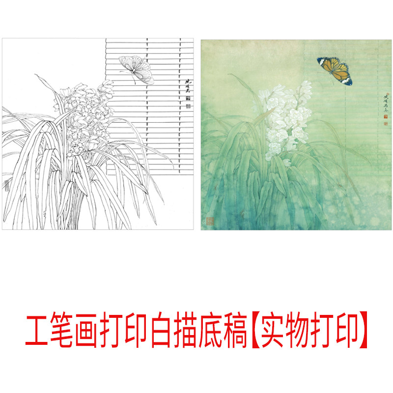 国画工笔画打印白描底稿李晓明高清斗方小品兰花初心者临摹过稿
