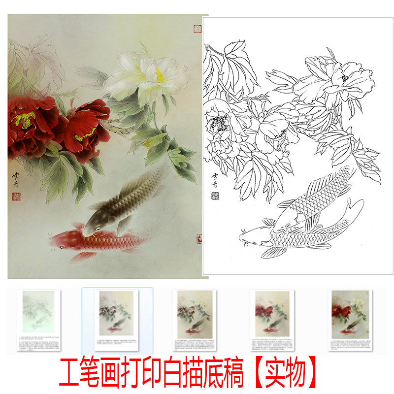 【有步骤图】工笔画打印白描底稿龚雪青牡丹鱼竖幅小品初学者临摹