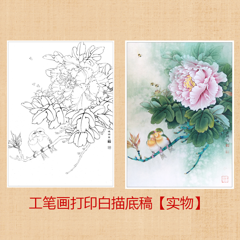 步骤图工笔画打印白描底稿竖幅小品牡丹初学者临摹过