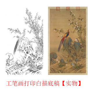 工笔画打印白描底稿郎世宁《锦春图轴》初学者临摹勾线练习上色