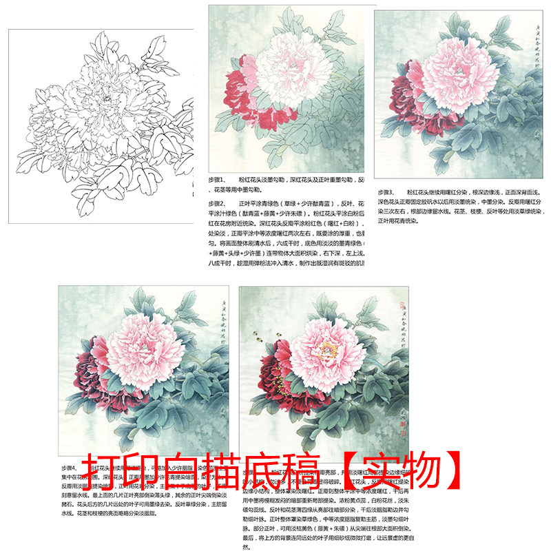 工笔画打印白描底稿斗方牡丹有步骤图初学者临摹勾线过稿练习