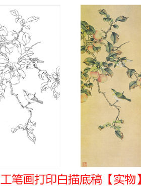 工笔画打印白描底稿陈之佛花鸟