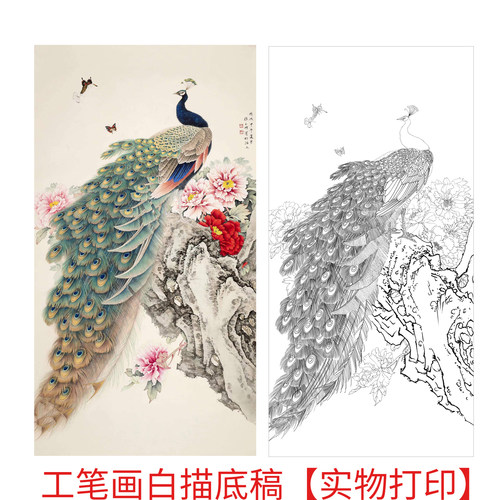 工笔画打印白描底稿竖幅花鸟孔雀图线稿初学者临摹过稿实物打印