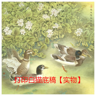 国画工笔画打印白描底稿李晓明斗方鸭子花鸟初学者临摹宣纸透稿