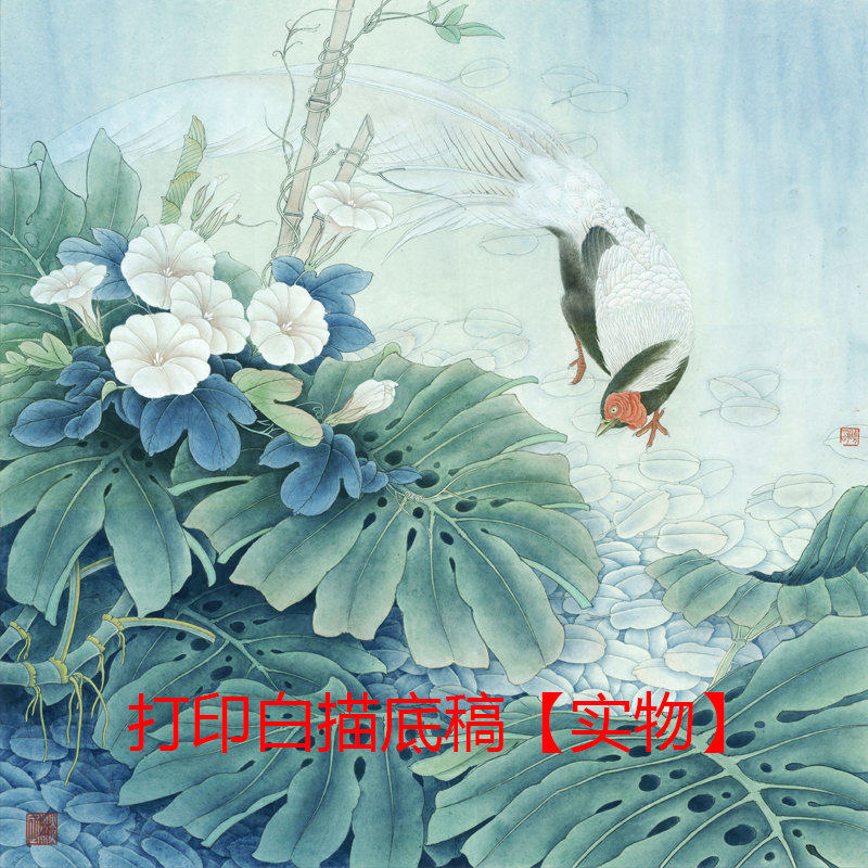 国画工笔画打印白描底稿李晓明斗方白鹇花鸟初学者临摹宣纸透稿
