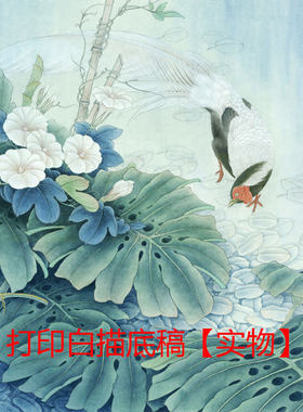 国画工笔画白描底稿斗方牡丹花鸟
