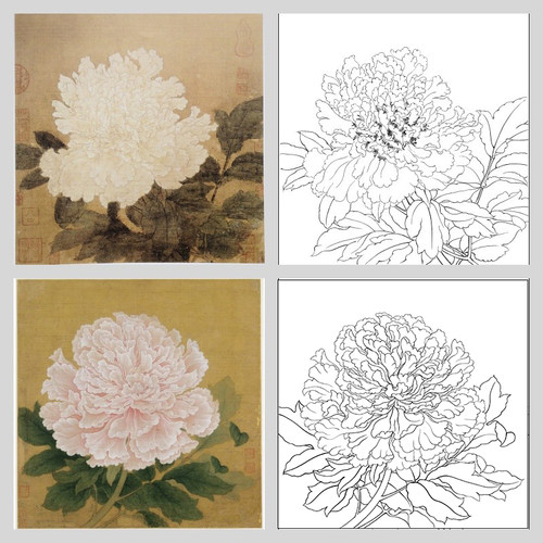 工笔画打印白描底稿宋画牡丹临摹
