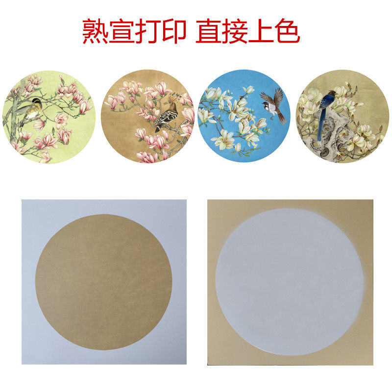 国画底稿白描线稿熟宣卡纸玉兰直接上色圆形花鸟初学者临摹练习