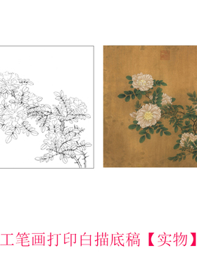工笔画打印白描底稿临摹线描素材