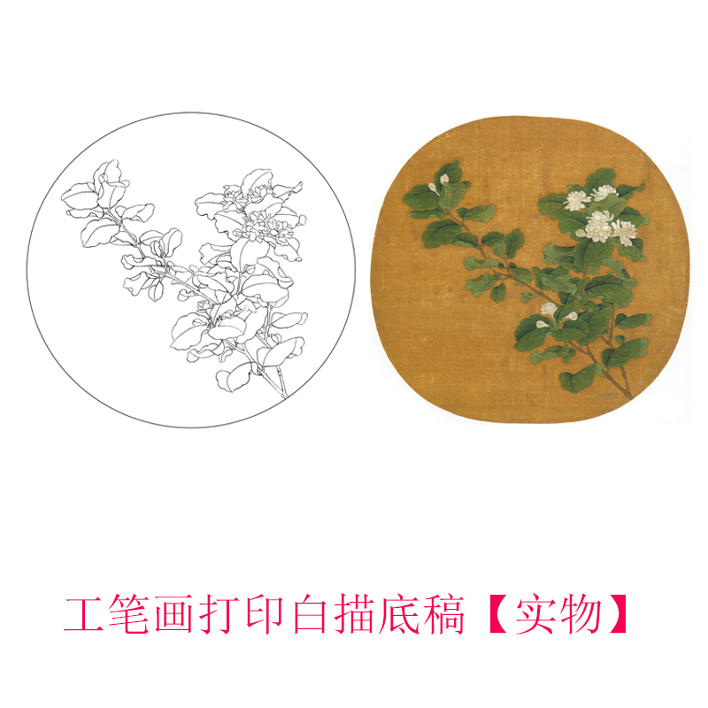 工笔画打印白描底稿宋赵昌《茉莉花图》临摹初学者线描过稿素材
