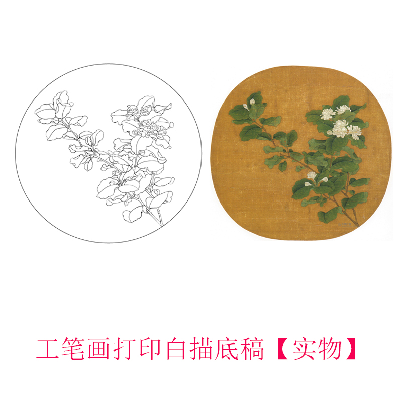 工笔画打印白描底稿宋赵昌《茉莉花图》临摹初学者线描过稿素材-封面