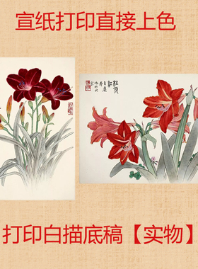 工笔画打印白描底稿高清线稿熟宣花卉小品初学者临摹练习上色线稿