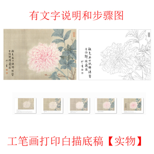 【有步骤】国画工笔画打印白描底稿恽寿平没骨花鸟小品初学者临摹