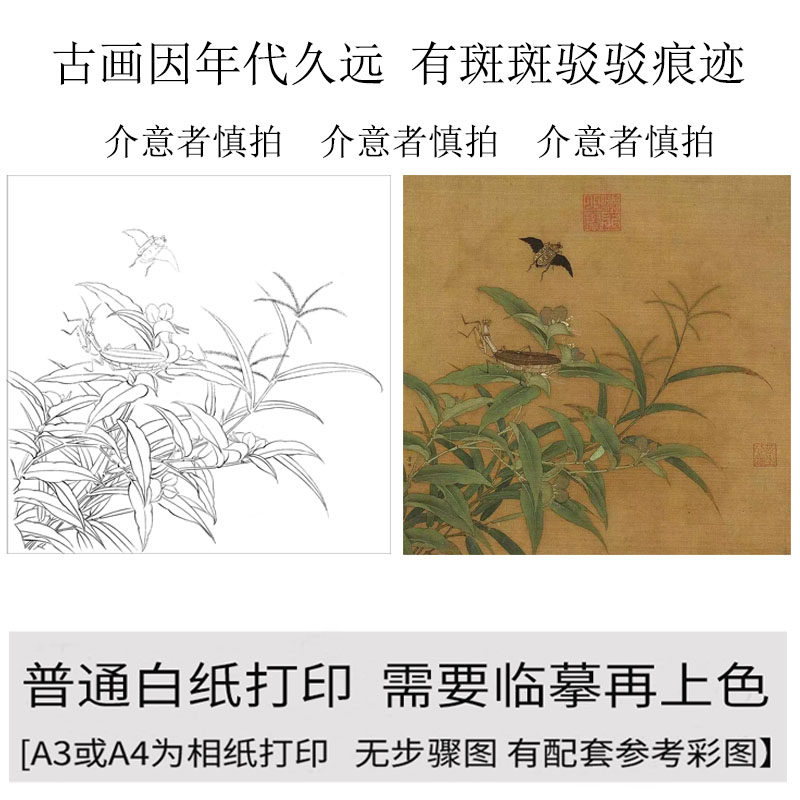 国画工笔画打印白描底稿横幅宋画花鸟高清线描初学者临摹过