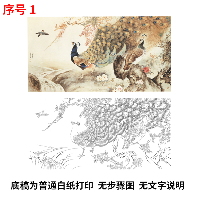 新款竖幅孔雀初学者钩线练习国画
