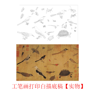 工笔画打印底稿宋画黄筌写生珍禽图临摹初学者线描宣纸过稿素材