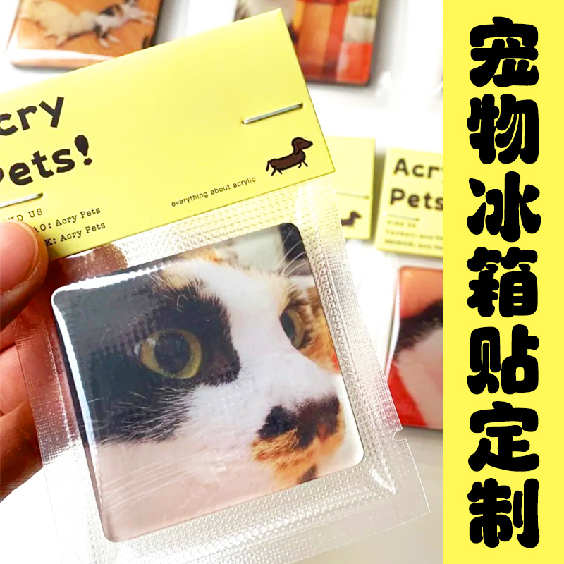 宠物冰箱贴定制猫咪小狗diy头像滴胶磁吸贴设计萌宠装饰磁吸定做