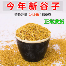 新黄谷子带壳小米虎皮牡丹玄凤中小型鹦鹉文鸟鸟粮鸟食鸟饲料3斤