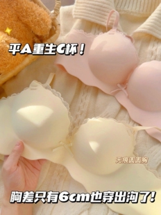 甜糯麻薯 小胸专用聚拢上托显大内衣女无痕漫画胸性感纯欲文胸罩