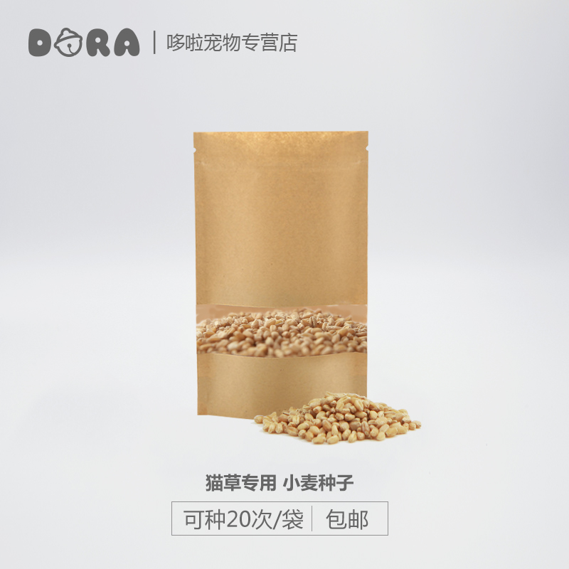 è²ÝÖÖ×Ӹ߷¢Ñ¿ÂÊСÂóÖÖ×ÓÔ¼400g/´üèßäÁãʳȥëÇòÇå½à¿ÚÇ»°üÓÊ