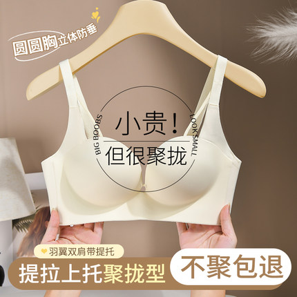 内衣女小胸聚拢显大2024新款爆款收副乳防下垂无痕性感套装文胸罩