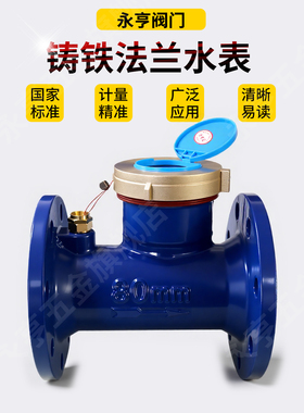 上海法兰水表大口径自来水工程2寸3寸旋翼式螺翼DN50dn80机械数字