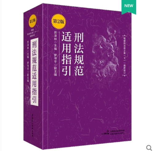 2021 刑法规范适用指引第2版二版