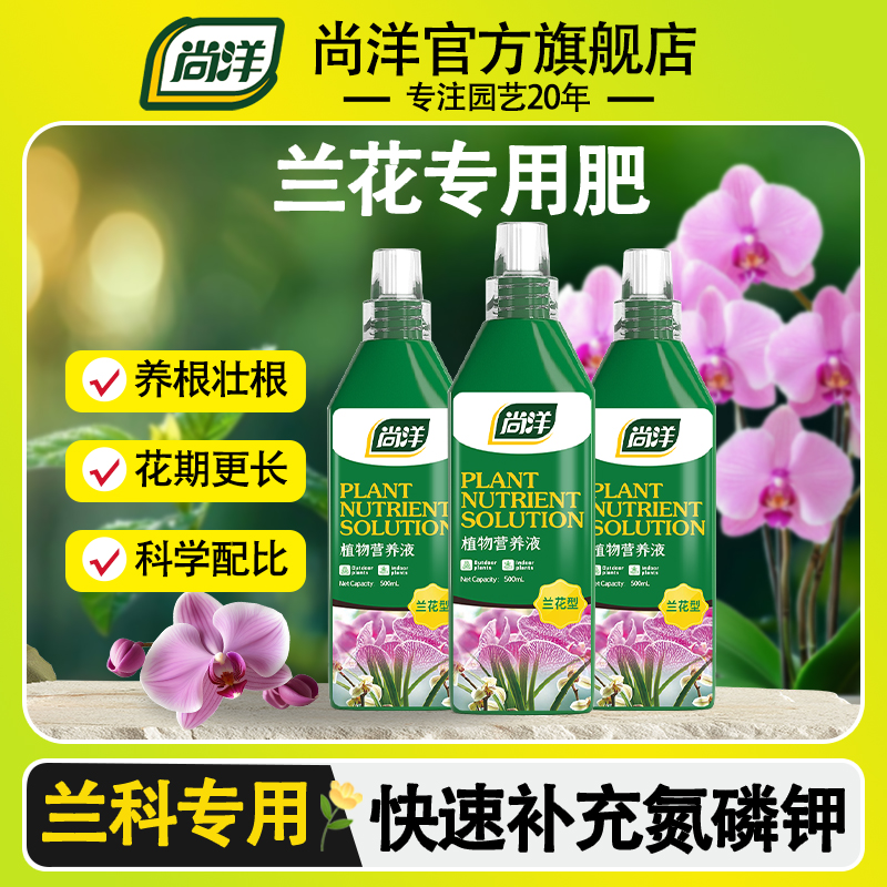 兰花专用肥营养液养花墨兰蝴蝶兰