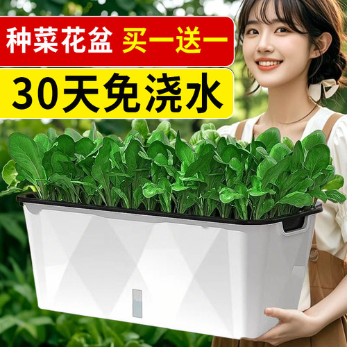 自动吸水花盆种菜种花种植箱