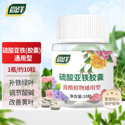 硫酸亚铁花肥料喜酸植物水溶肥胶囊粉末铁肥茉莉花杜鹃花茶花卉肥