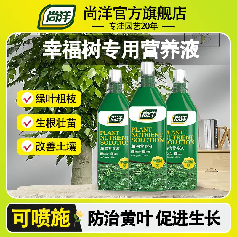 幸福树专用肥料营养液家用室内