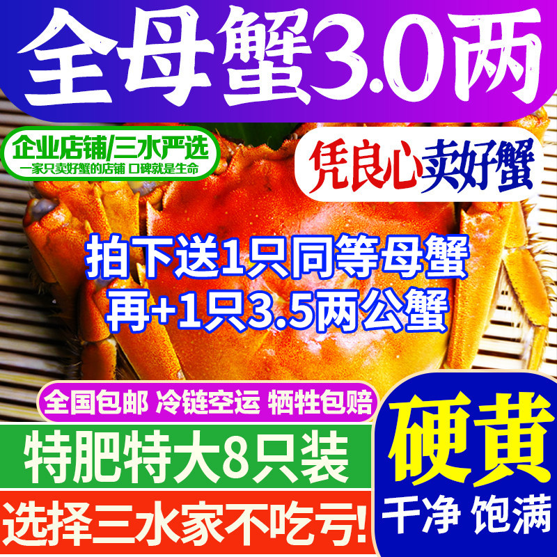 三水家大闸蟹全母蟹2.9-3.3两黄多8只净重鲜活螃蟹江苏洪泽湖活蟹