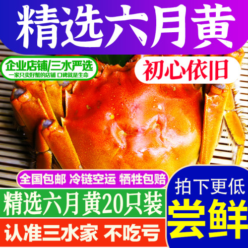 三水家六月黄实发26只装鲜活螃蟹