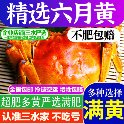 三水家大闸蟹六月黄2.4-2.6满黄鲜活螃蟹洪泽湖大闸蟹江苏水产海