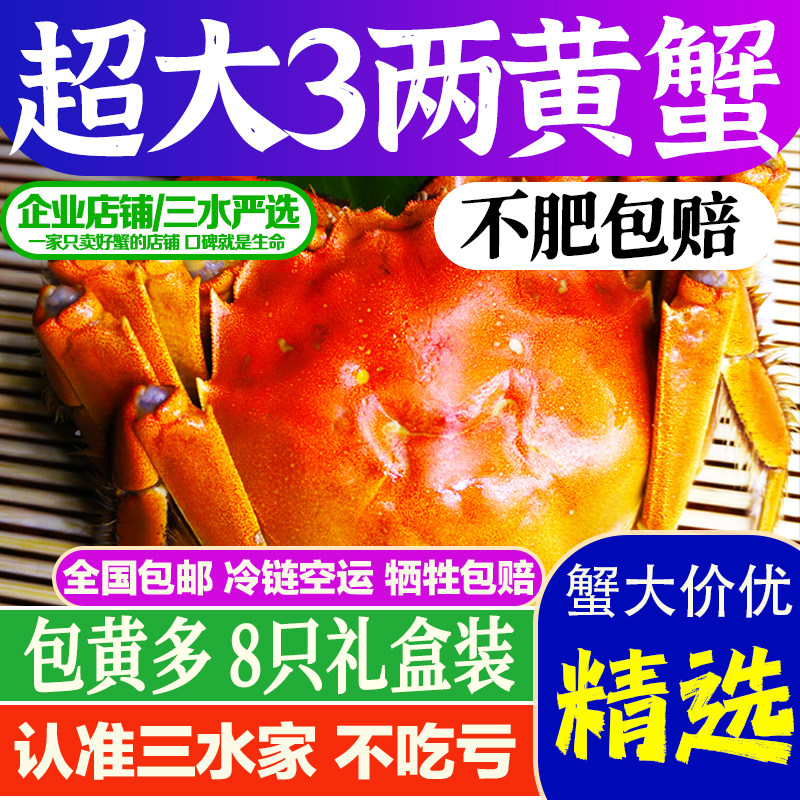 三水家六月黄大闸蟹精选便宜好吃