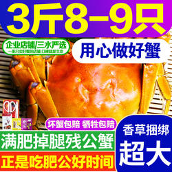 残公残母4两大残公九爪掉腿蟹公蟹洪泽湖大闸蟹鲜活螃蟹香草