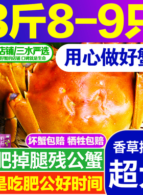 3斤8-9只4两特大残蟹残次蟹掉腿蟹公蟹洪泽湖大闸蟹鲜活螃蟹香草