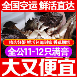 三水家满白膏残蟹3斤10-12只公蟹正宗洪泽湖大闸蟹掉腿鲜活螃蟹