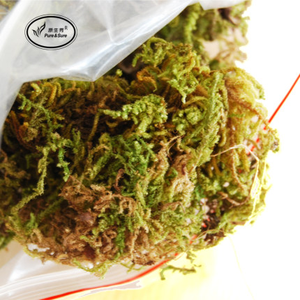 干水苔草苔藓铁皮石斛蝴蝶兰花多肉食虫植物保湿蛇龟宠物垫材包邮