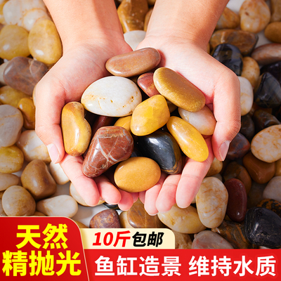 10斤鹅卵石鱼缸造景底砂装饰溪流石原生天然小石头石子五彩鹅软石