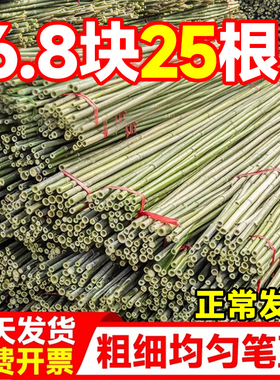 竹竿菜园搭架蔬菜黄瓜番茄豆角架杆竹篱笆栅栏小竹子细竹竿葡萄架