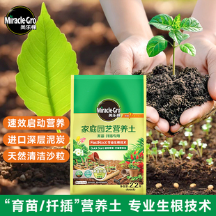 全新育苗扦插土小包专用营养土播种育苗基质块多肉植物小苗花泥土