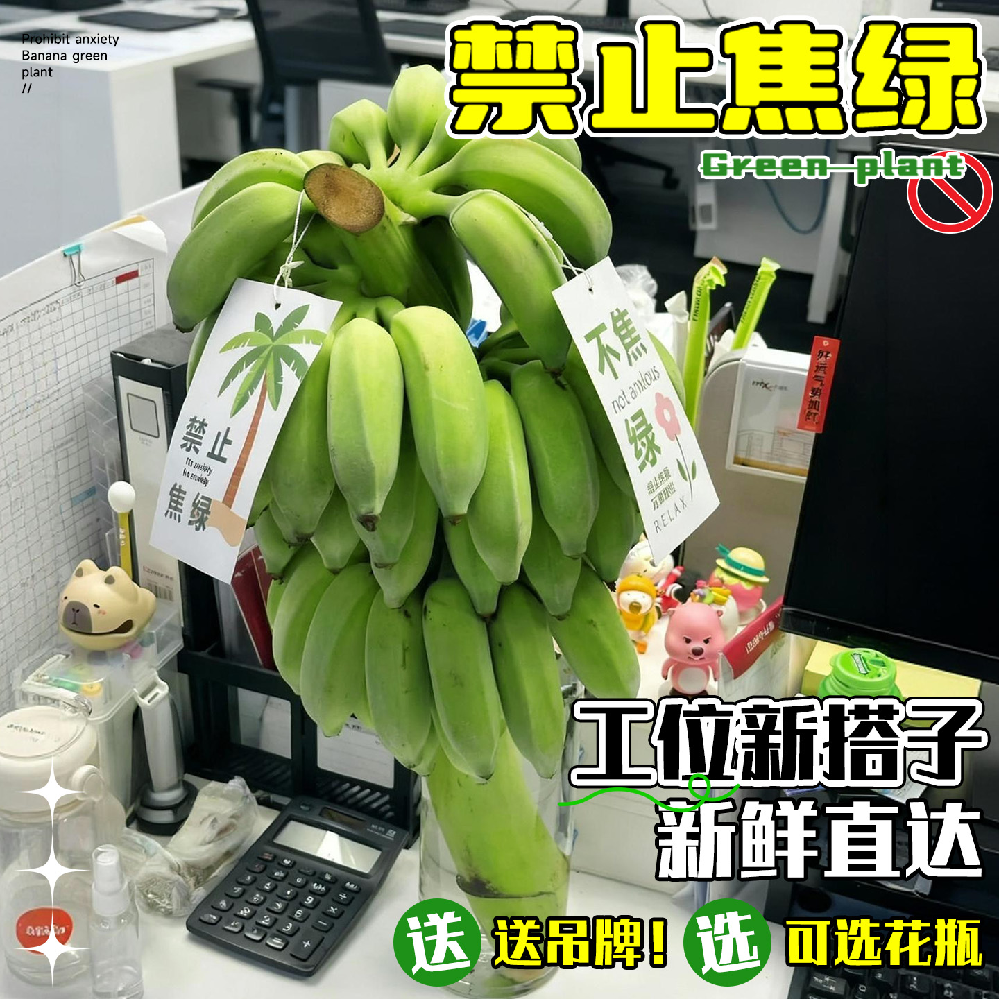 办公室家居解压好物可吃可观赏