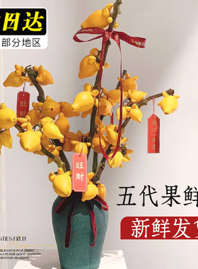 五代果鲜切五代同堂黄金果花束鲜花家用插花鲜切花真花绿植物花卉