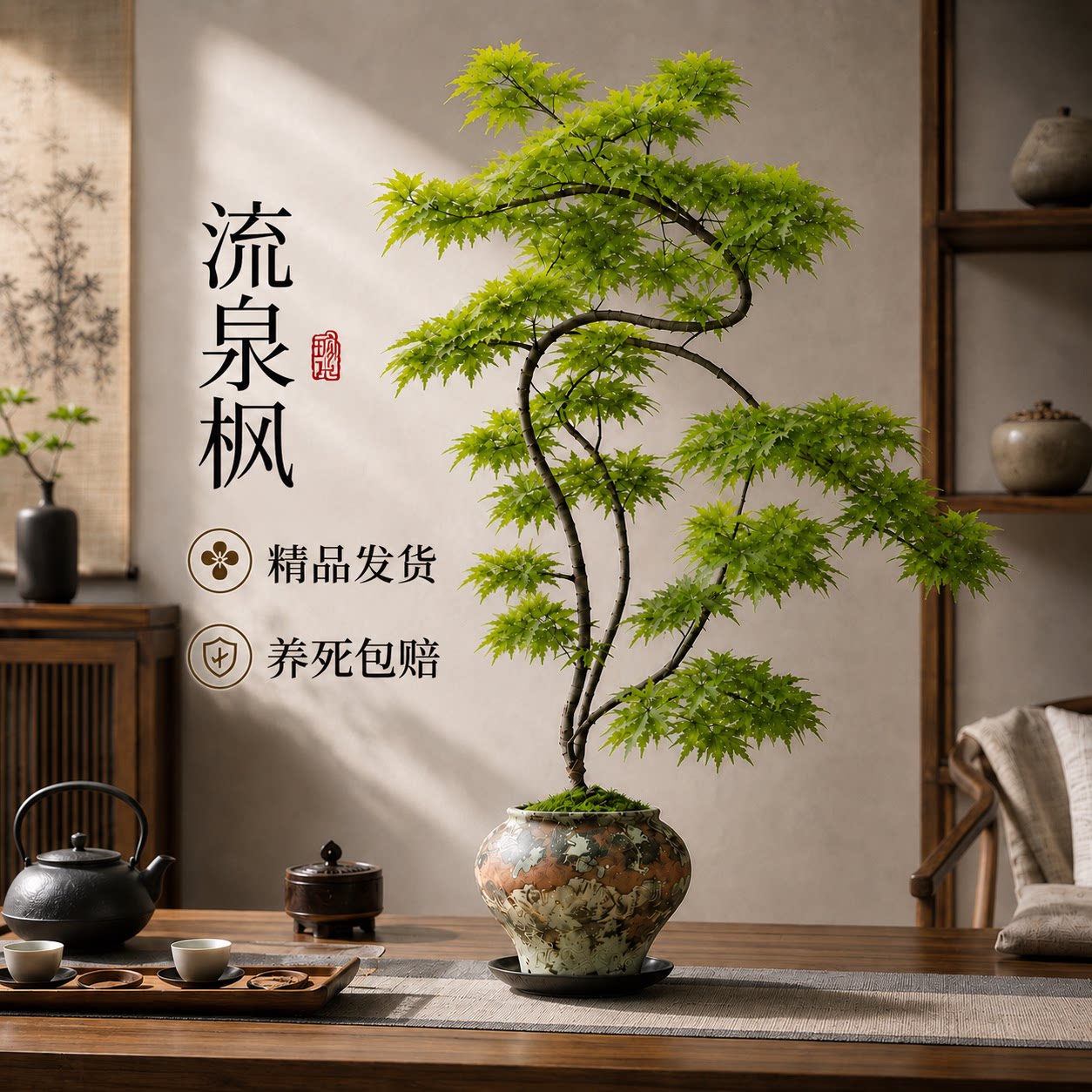 精品造型流泉枫盆栽盆景绿植图片